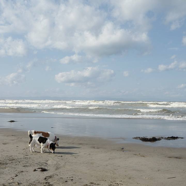 6f0ca3a9 1056 4725 b5a6 4232a6967e8e 1545365998490