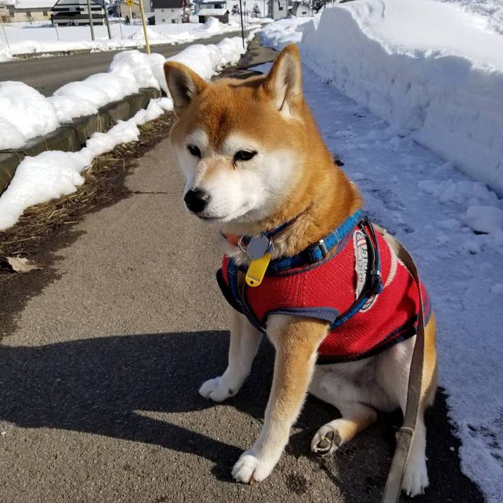 6f0cb5c2 6362 48d4 84b9 996b98481bb5 1547869899095