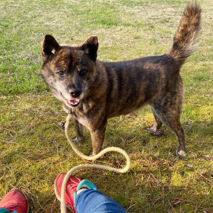 6f0ccf02 4443 4b78 8e70 2a70128c34bd 1585125688107