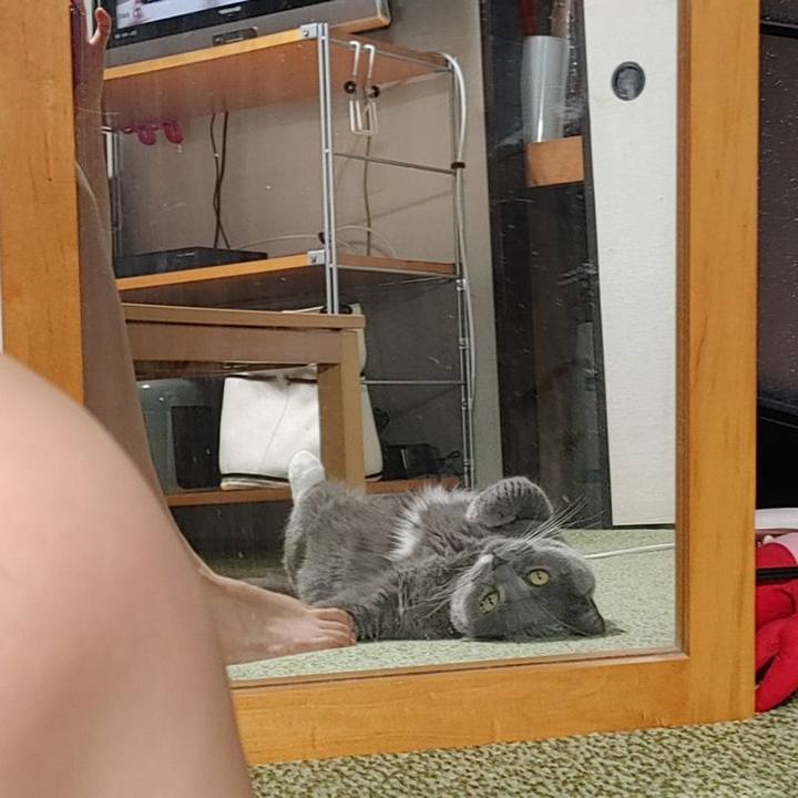 6f0d1c27 a520 4ffc 84ae 575f938d44f6 1714726532762