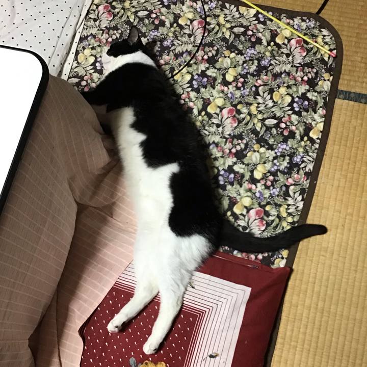 6f0d4e9a a679 4df5 8c7f b7814ce62e7f 1682080723190