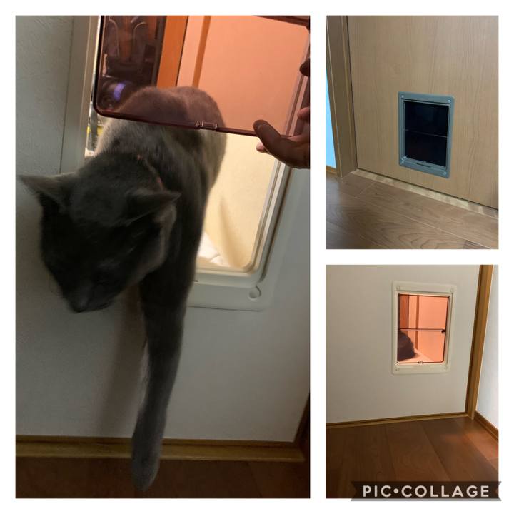 6f0d67fb ada6 47a1 961a 6ab05fab35b8 1602239121784