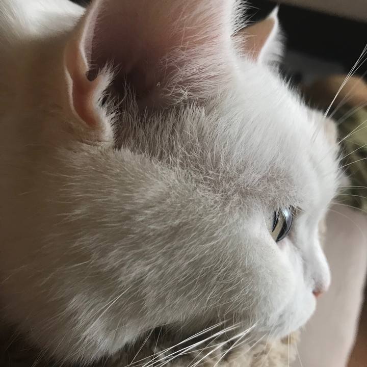 6f0d8b59 0a7b 4015 9547 666b19d8ff2b 1510267945262