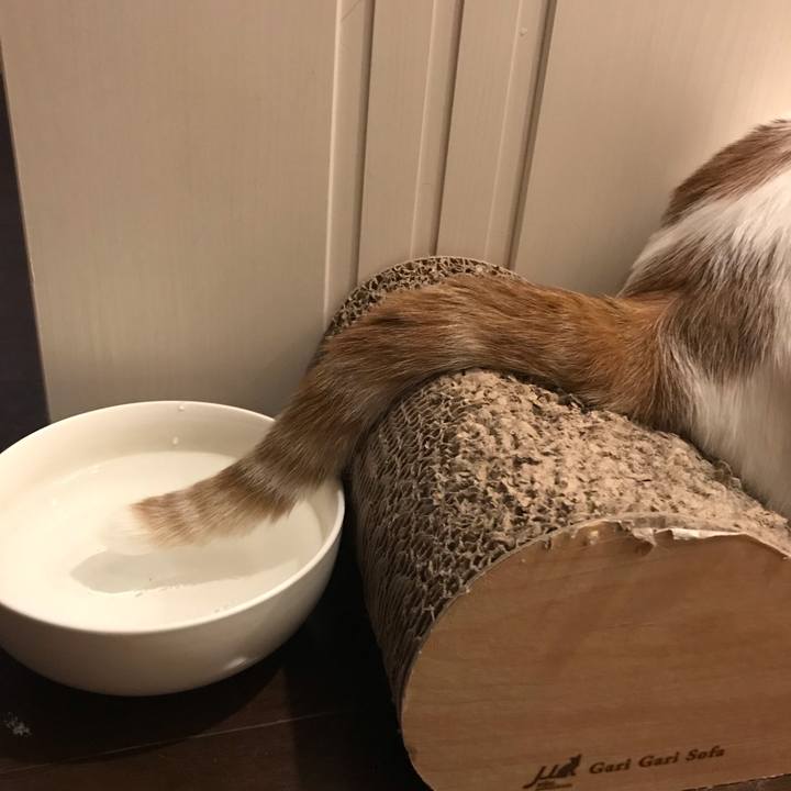 6f0d9b69 e970 466b 9a9c 9d62b2fc959c 1565613227759