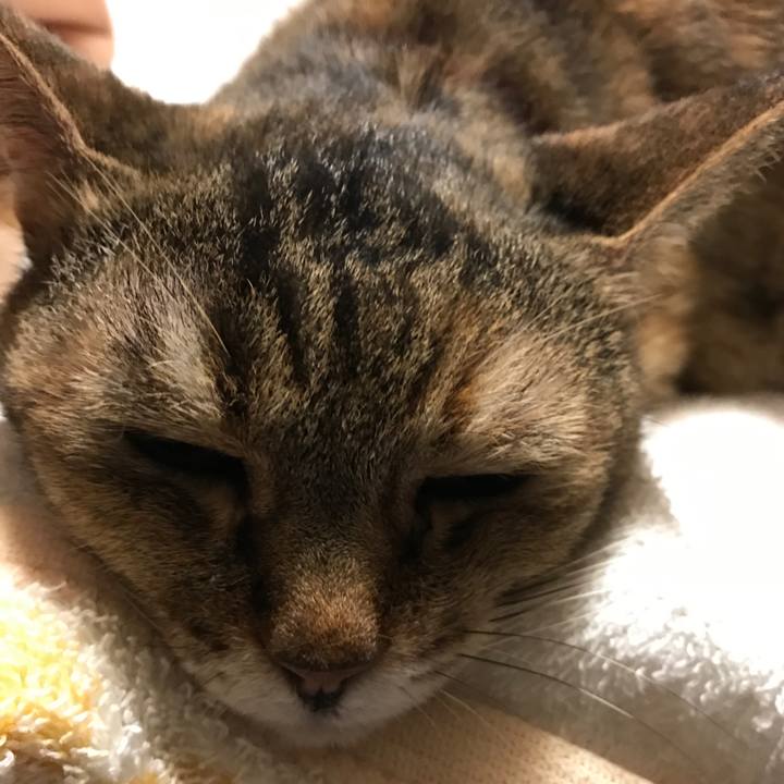 6f0dca84 488c 46df 98da de7211109cf1 1534783954111