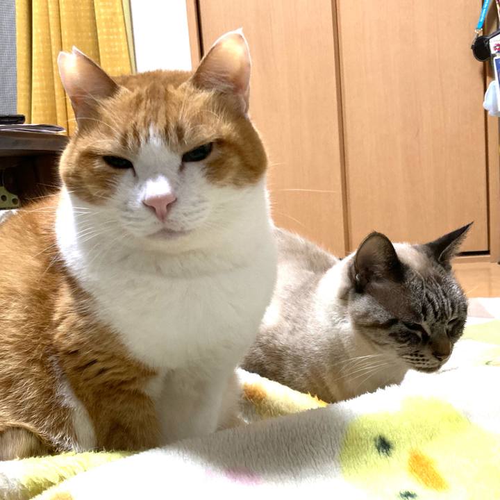 6f0e0adc a270 4506 8d68 a8938cf40c5b 1767797620700