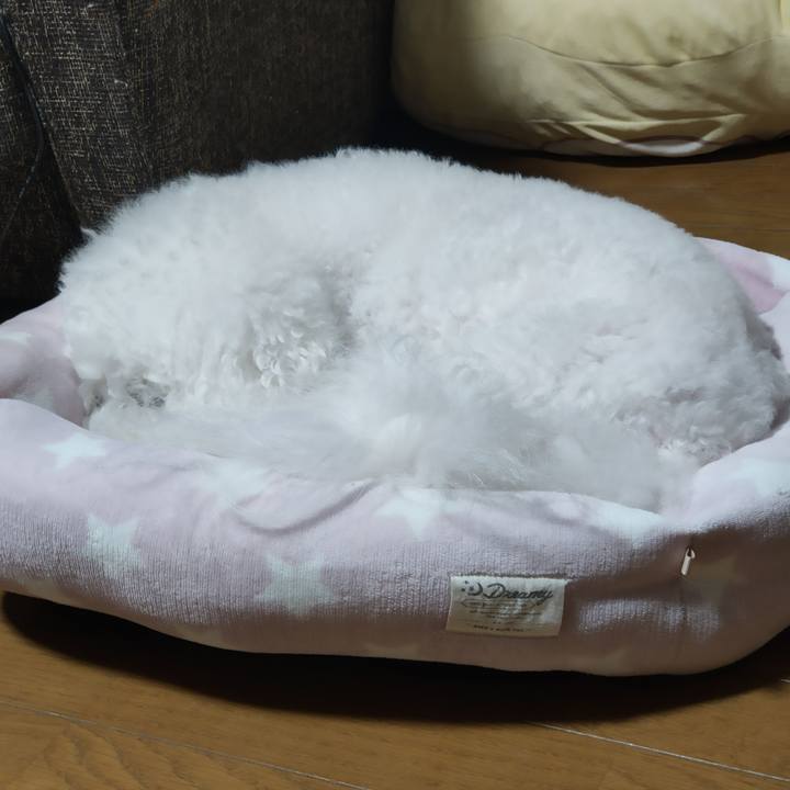 6f0e3a09 4599 4b3a 918b f9d0fdfc4b05 1763508124402