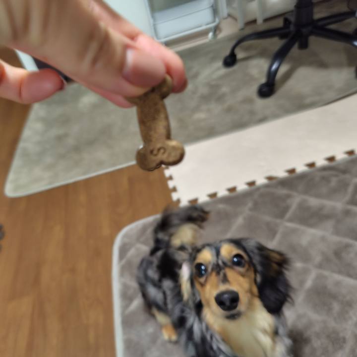 6f0e3d08 d4ce 4511 86c3 7a4bf91fb564 1715296648438