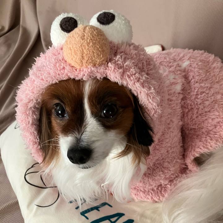 6f0e5093 4258 4c55 9ae2 2c770a2cf408 1733807195923