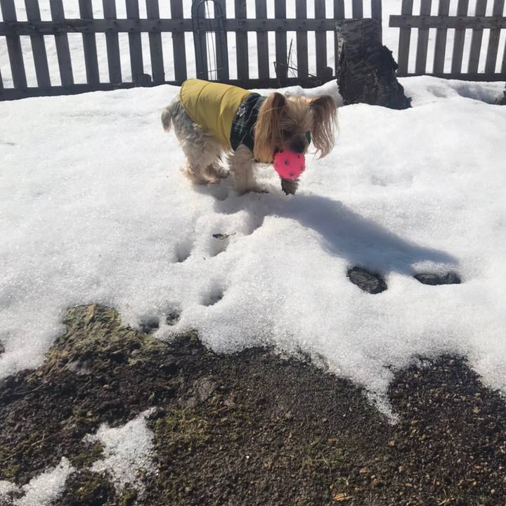 6f0e5f8d dd82 4feb a6d0 1cd63a8677f7 1584350799453