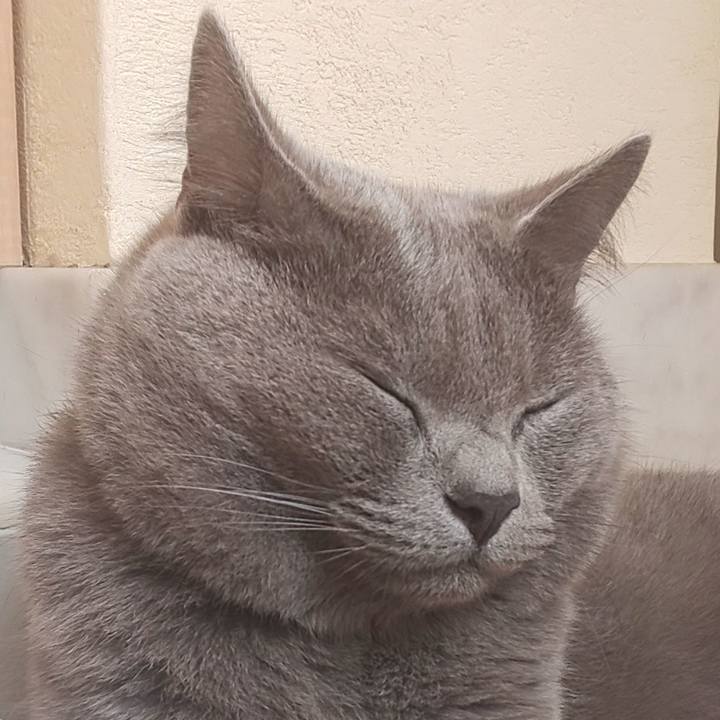 6f0e7a59 73e7 4381 bb85 3d5ff007ac8d 1567145933125