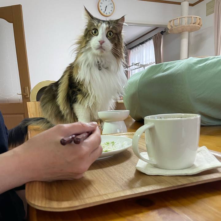 6f0e84c3 f033 4303 a326 0d2bb5f263b6 1677274967891