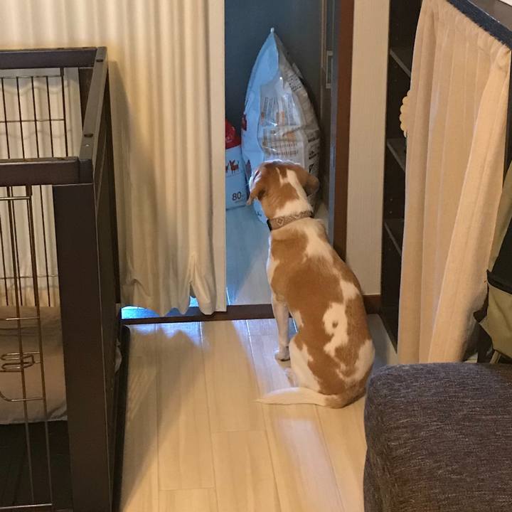 6f0eb97f d37a 4448 9755 1c94b964b53d 1611277504923