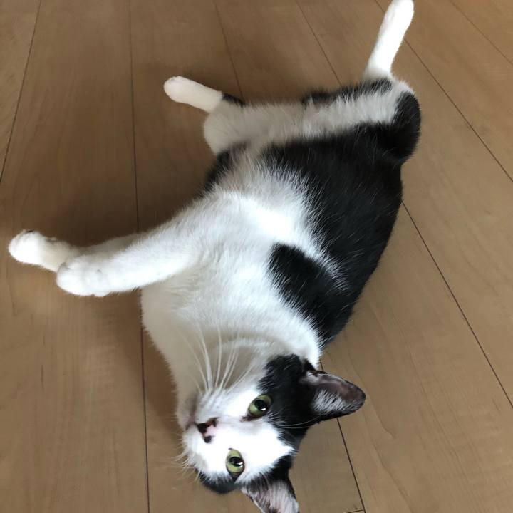 6f0ee793 f5d5 479b b929 5e8f332324c9 1564698848219