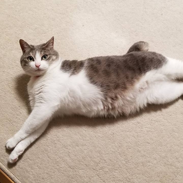 6f0ee8e8 f110 4d6e 856b 2751fa588c20 1559564597237