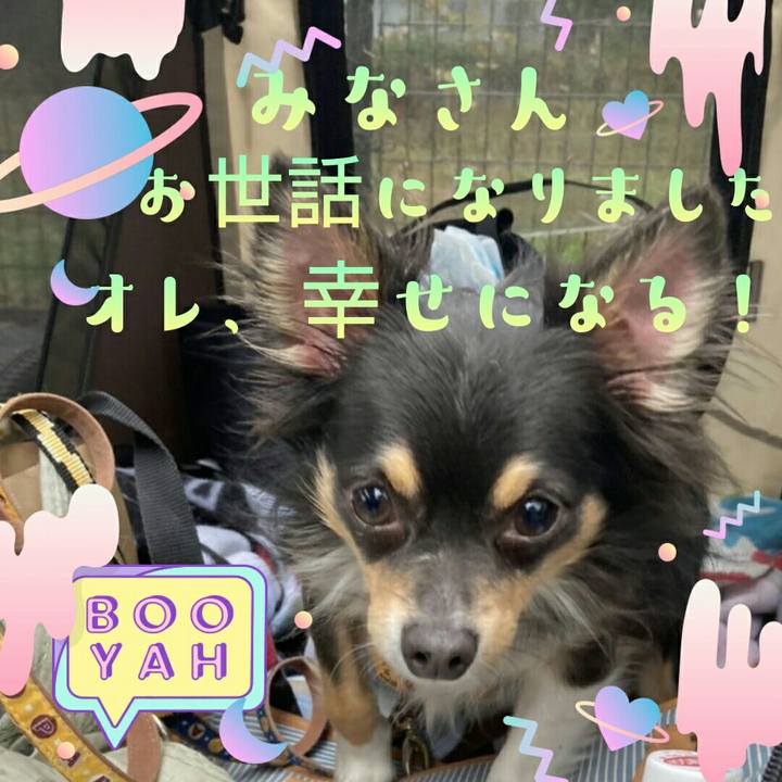 6f0f14a8 f679 4e8b 8502 9266063c4f9f 1637626641264