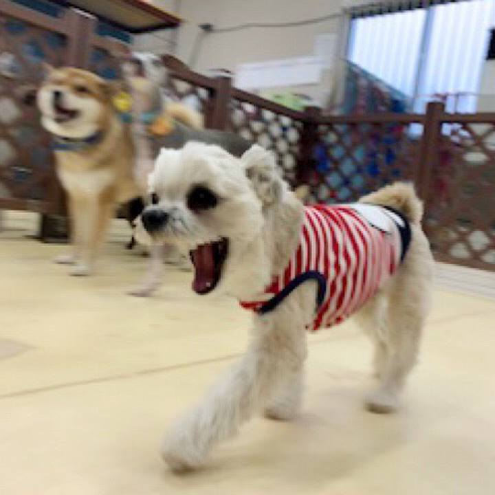 6f0f5a6d 3371 4f37 8468 7c4f7063c202 1552918992681