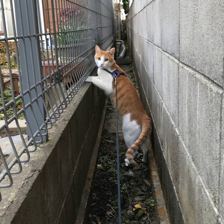 6f0fc6c5 a3b2 4fb2 9c37 67fb5ab24f96 1510370662528