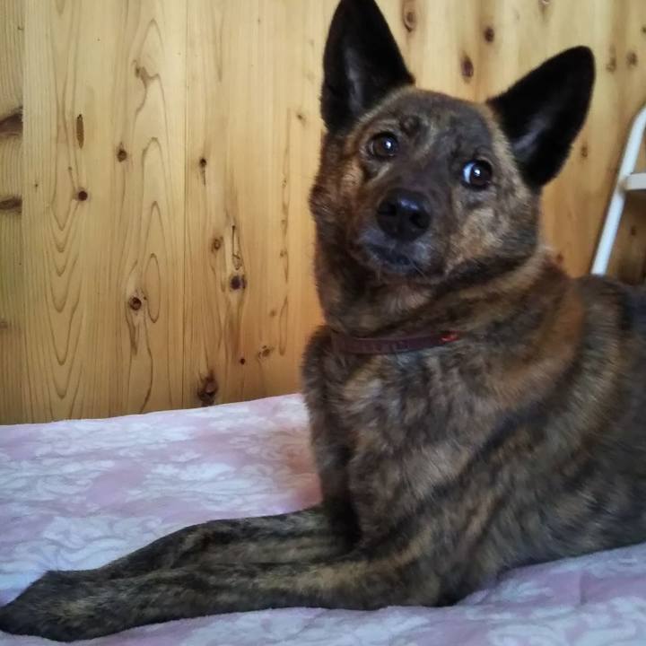 6f0fc7fb e217 4367 bf3b 3b44fbcb4150 1598738176797