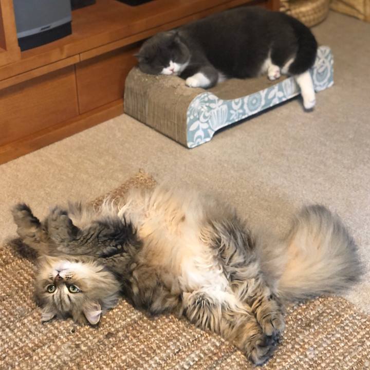 6f0fccc1 0d46 4d15 8c59 734a467b058c 1625371500943