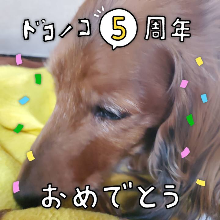 6f0ffd52 14a1 4120 9c38 03a8da02314e 1622992349311