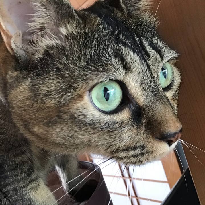 6f103712 5c29 4b60 987b 38f8c74d7ea1 1695164207752