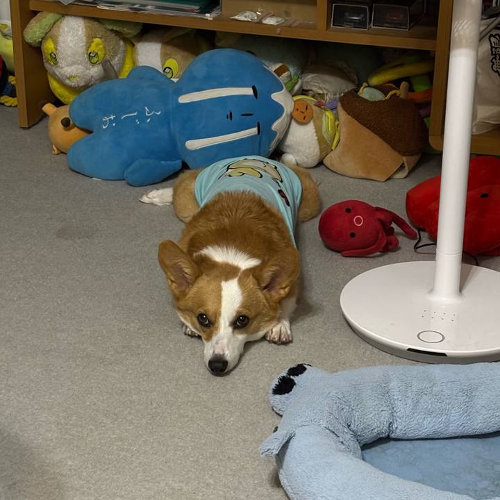 6f106873 7bd1 4bdb af63 4b8c671af2c3 1759597186023