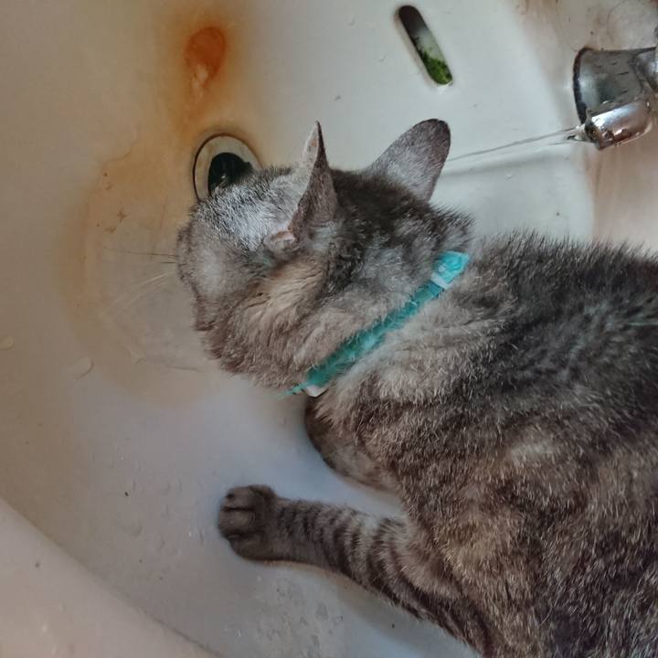 6f106894 a54a 4978 a754 53de6d744fc7 1565477875481