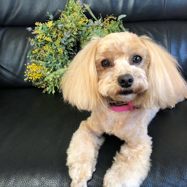 6f107db3 8fe8 4c37 8466 487dd6c56aa8 1613197958725