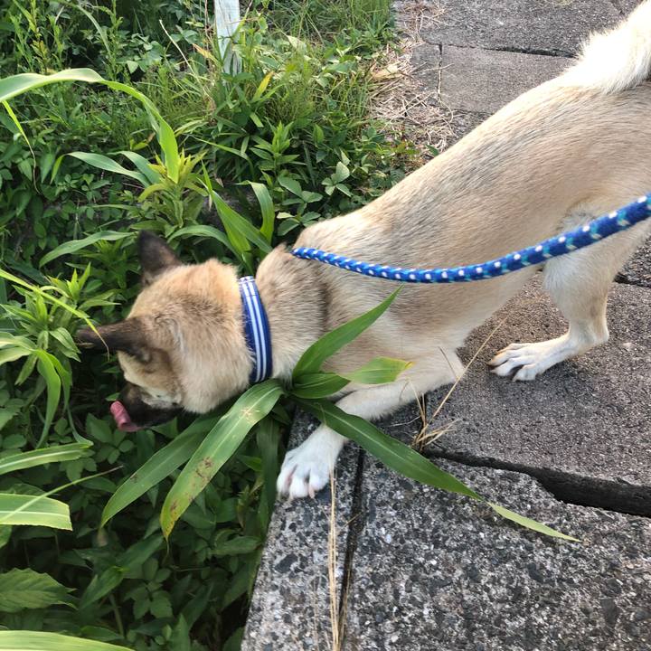 6f1096fa 3bbb 497d 8da9 585868bc61cc 1533988226523