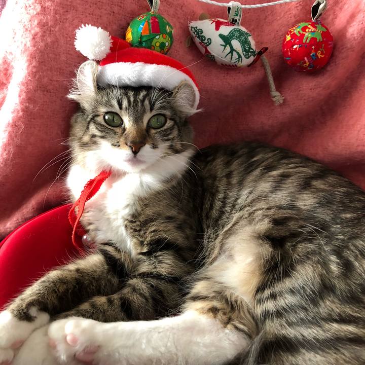 6f10df39 bd29 4f0c 9f09 ae48119c09ee 1513672906570