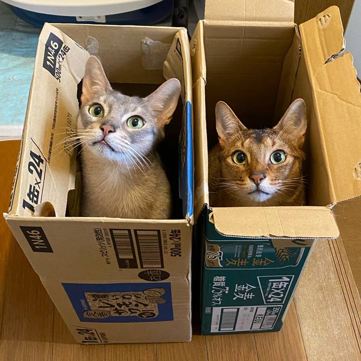 6f10f323 75e7 4dfb a145 9db28cb27757 1767001191594