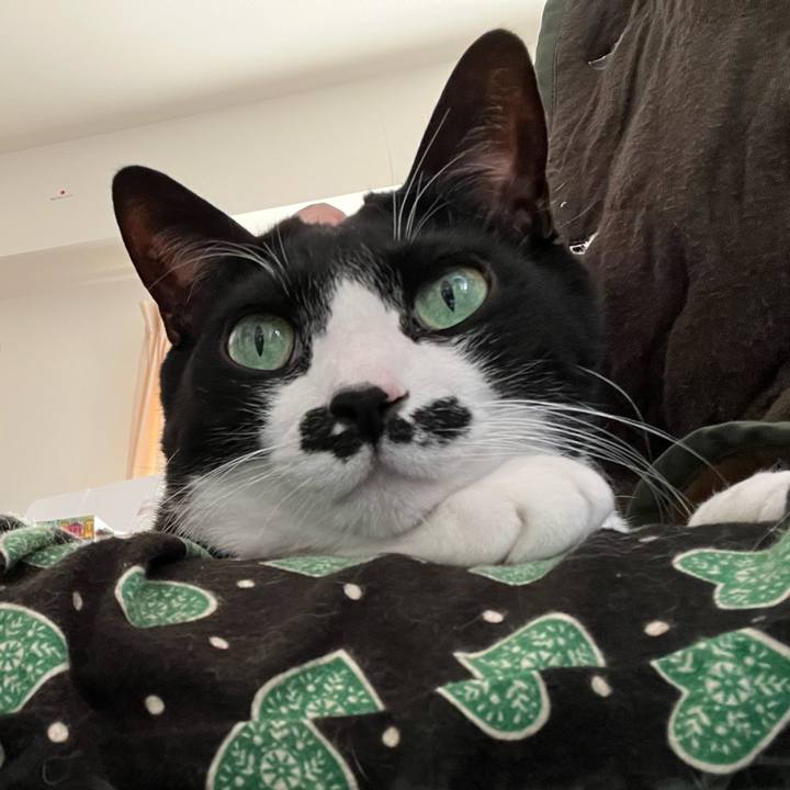 6f1106dd 5948 4292 84b7 b1e3710d1976 1766991009972