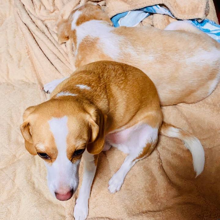 6f1106fe 8133 41cd abc4 f34b6bbd6806 1602343835913