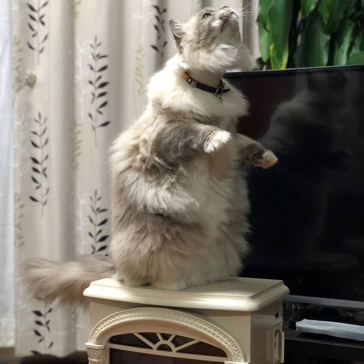 6f115739 0f34 48c8 8413 be2b8e30ecc7 1543915022072