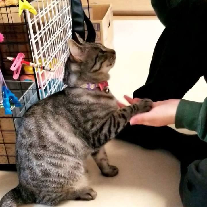 6f117d7d f938 4348 975a af68532ea21b 1682434404974