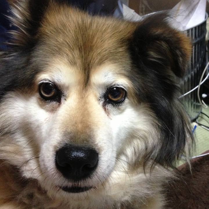 6f1186f7 3ec5 4da5 99dd 70251e981800 1567517196132