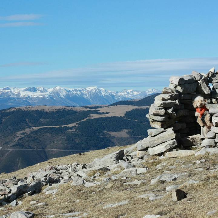 6f11d613 c697 4545 a286 0531e7403359 1547051077128