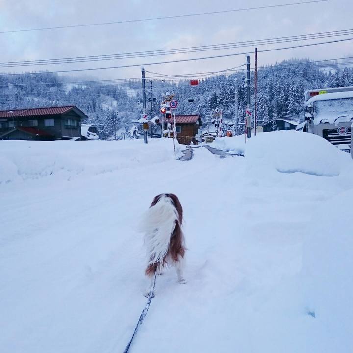 6f11d702 c6f6 4e09 a54f 5a95d609c3c7 1548547292744