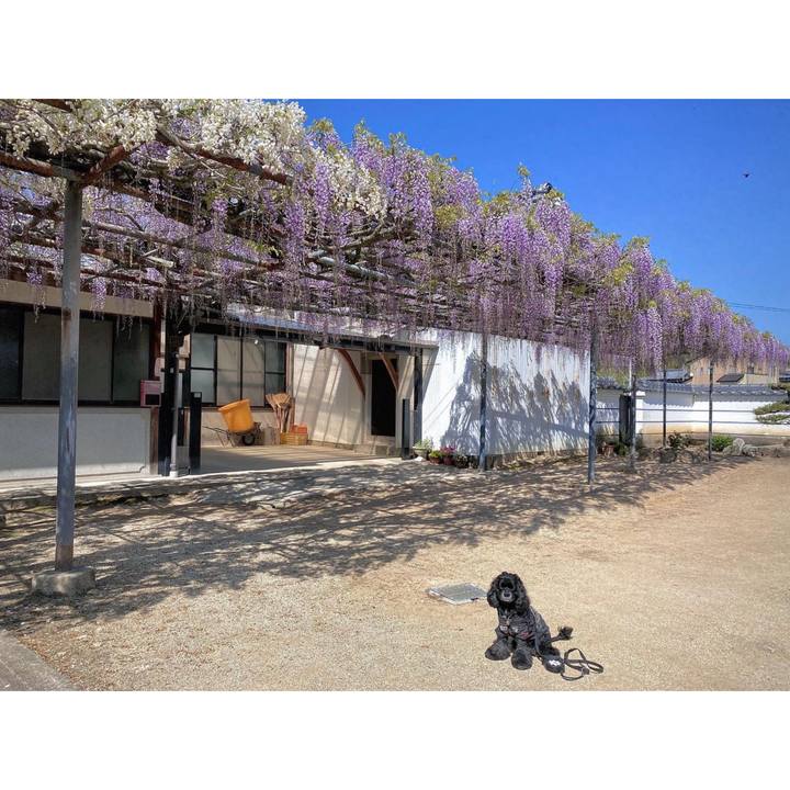 6f11f9d3 f1a8 4f46 8bb3 6efb545b1729 1650236311253