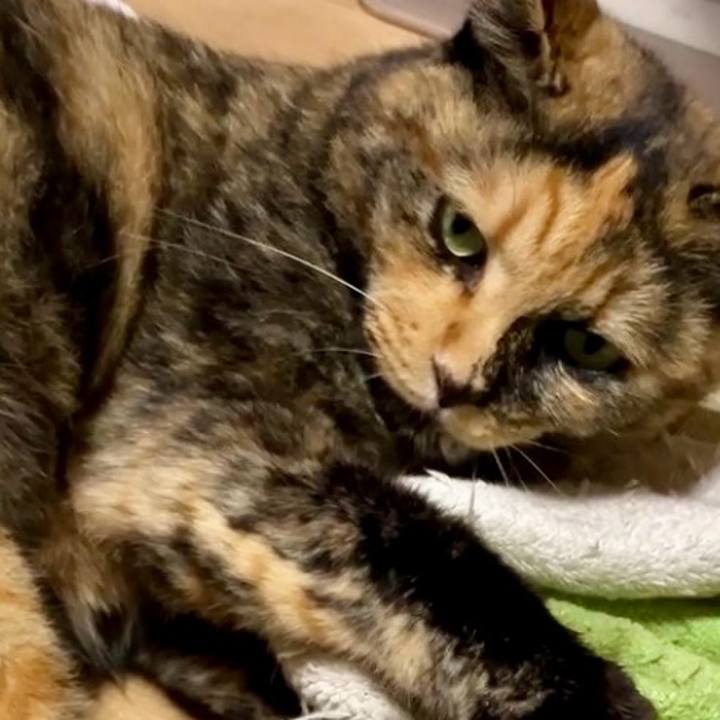 6f1214c5 45aa 4714 a746 73604227fbb7 1728293128042