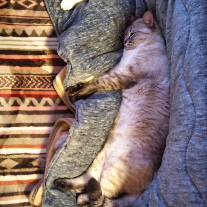 6f122283 4345 4ad1 8b26 ffdeb5de4531 1549014282872