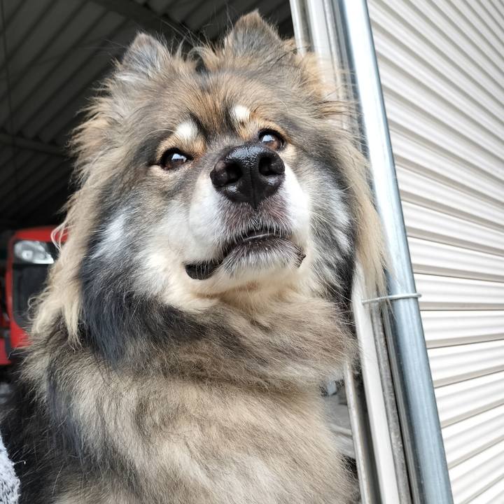 6f123485 10eb 4383 832f 5f33e7c4a085 1663818288685