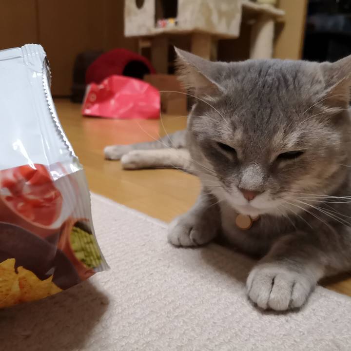 6f127167 8e70 40c4 a79f bd8b89edf648 1563852700886