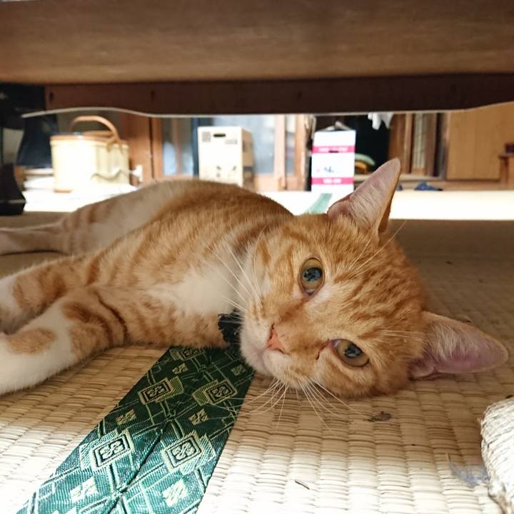 6f1274c8 5ae7 4fce b148 76cb50faef46 1566474836886