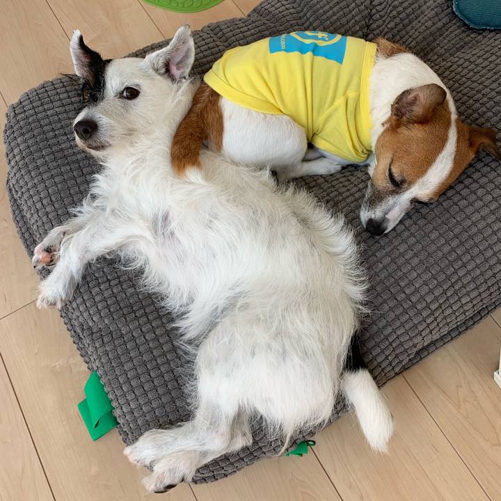 6f127926 f53b 48a4 8abb 1a89c5542b27 1560919618779