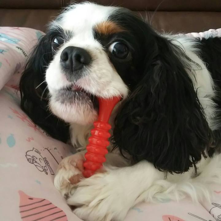 6f12aac3 7225 4bb1 abaf 3db0c1e12e82 1530930083450