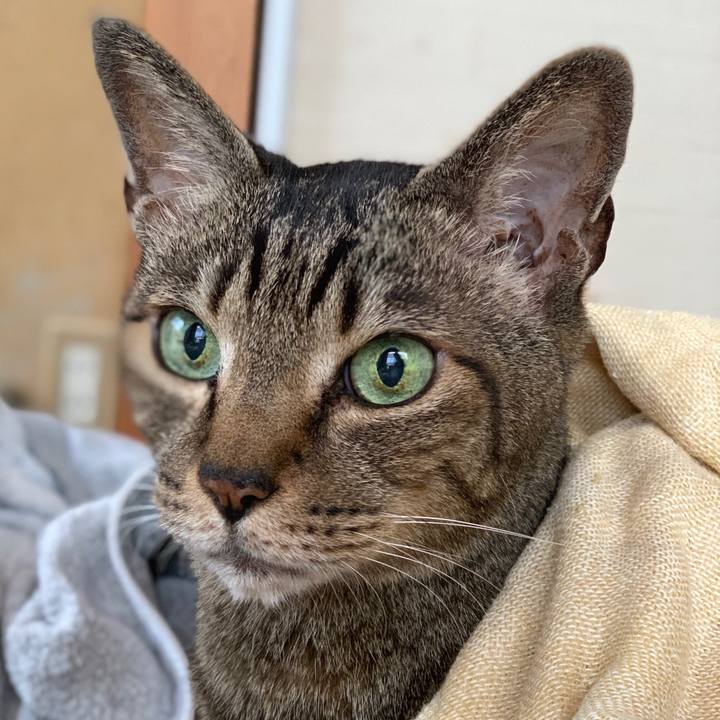 6f12b6ef 1a49 4a89 ad26 5ab5b72f6f4a 1591751103747