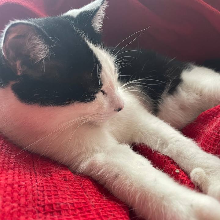 6f12d4f8 b562 4a26 94e3 7d382865ae88 1619939559288