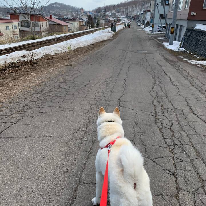 6f12da74 78bb 4ece 94f6 720cfa87b6ae 1585359411687